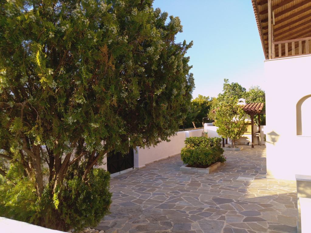Explore Aegina Island Souvala Buitenkant foto